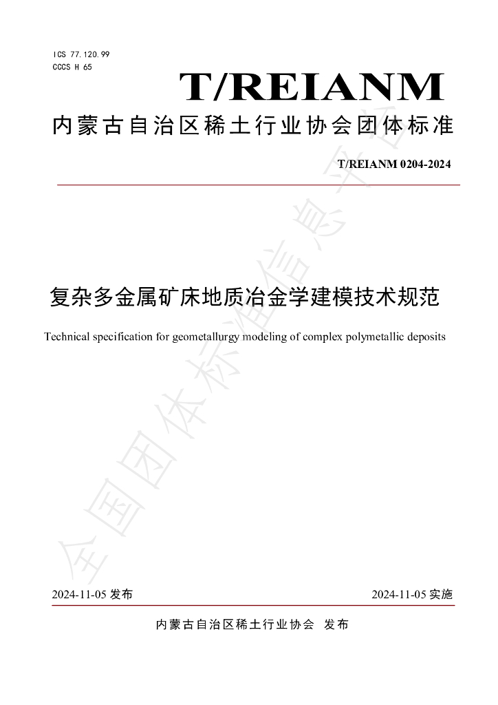 T/REIANM T/REIANM0204-2024 标准预览