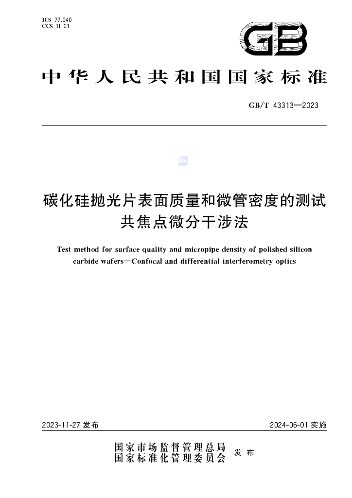 GB/T 43313-2023 标准预览