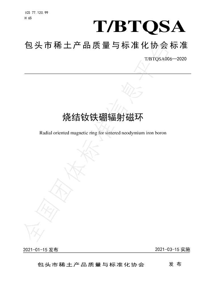 T/BTQSA 006-2020 标准预览
