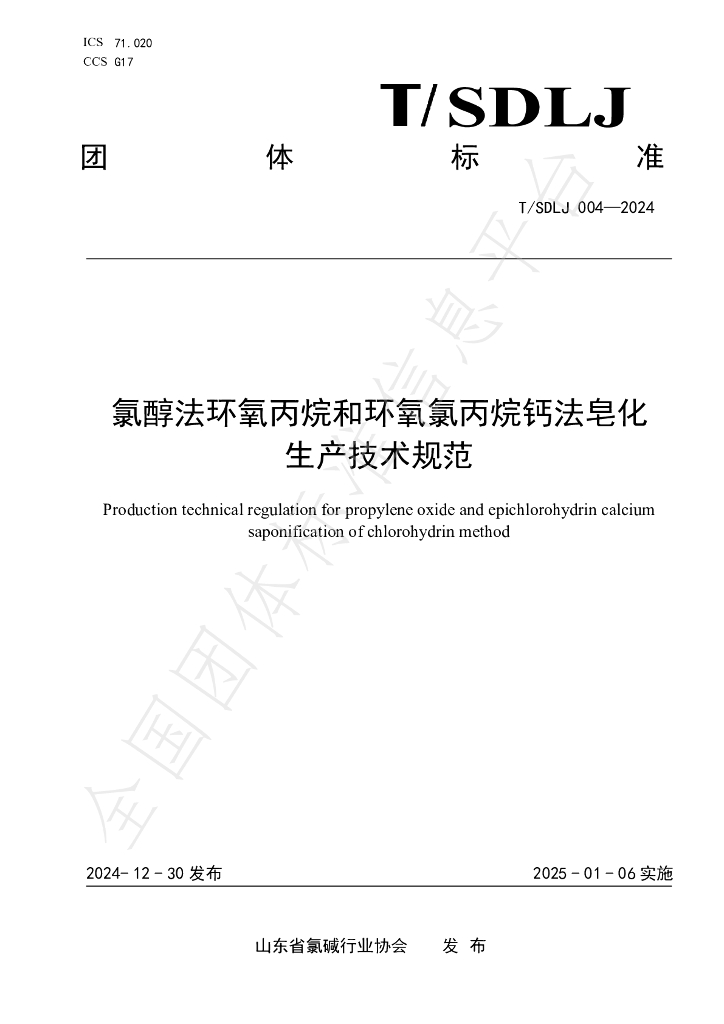 T/SDLJ 004-2024 标准预览