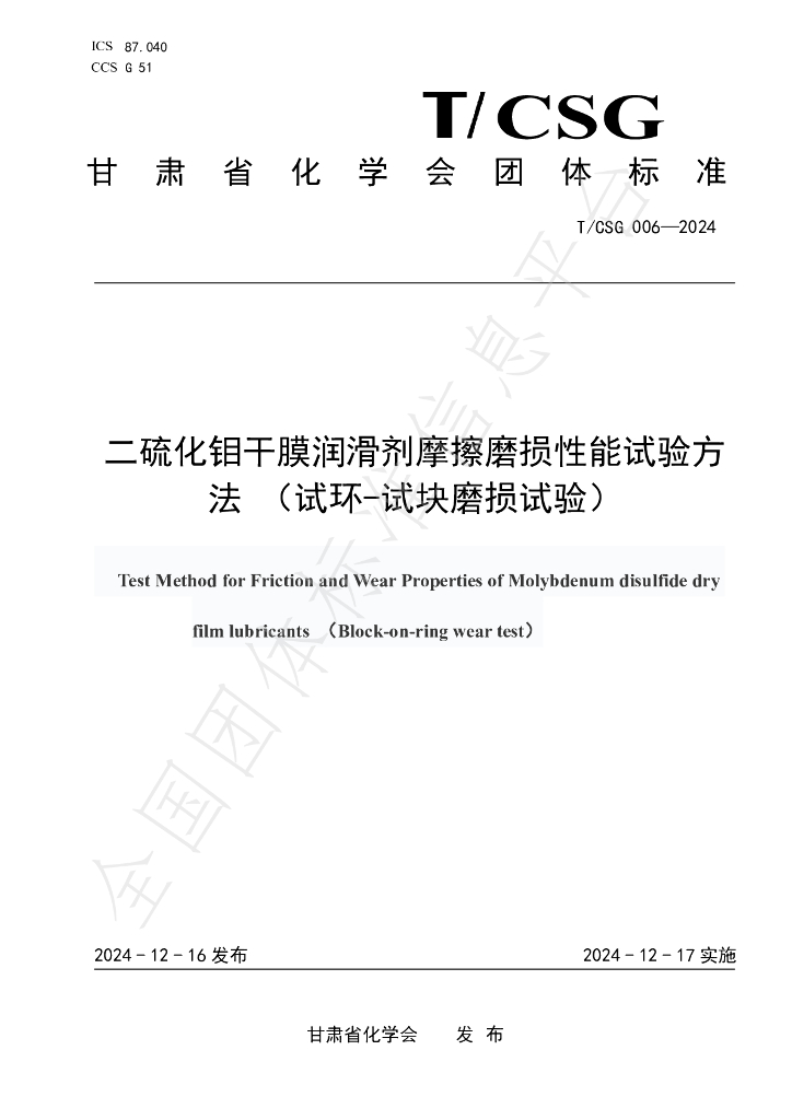 T/CSG 006-2024 标准预览