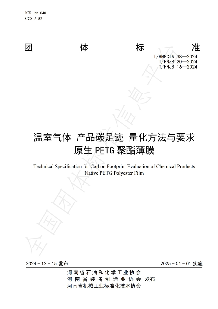 T/HNPCIA 38-2024 标准预览
