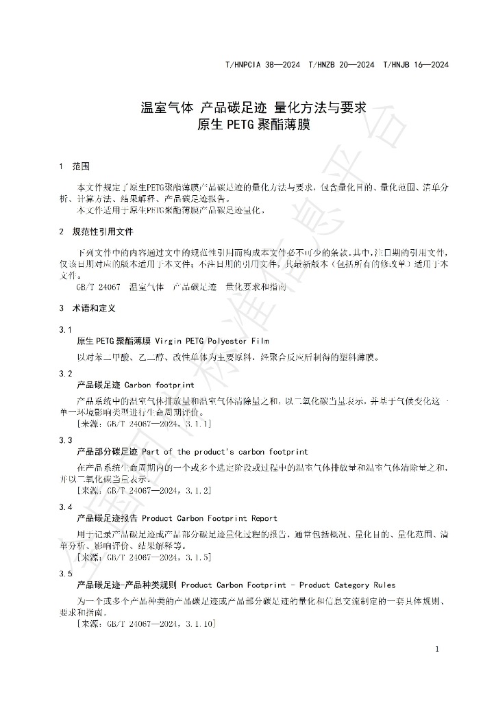 T/HNPCIA 38-2024 标准预览