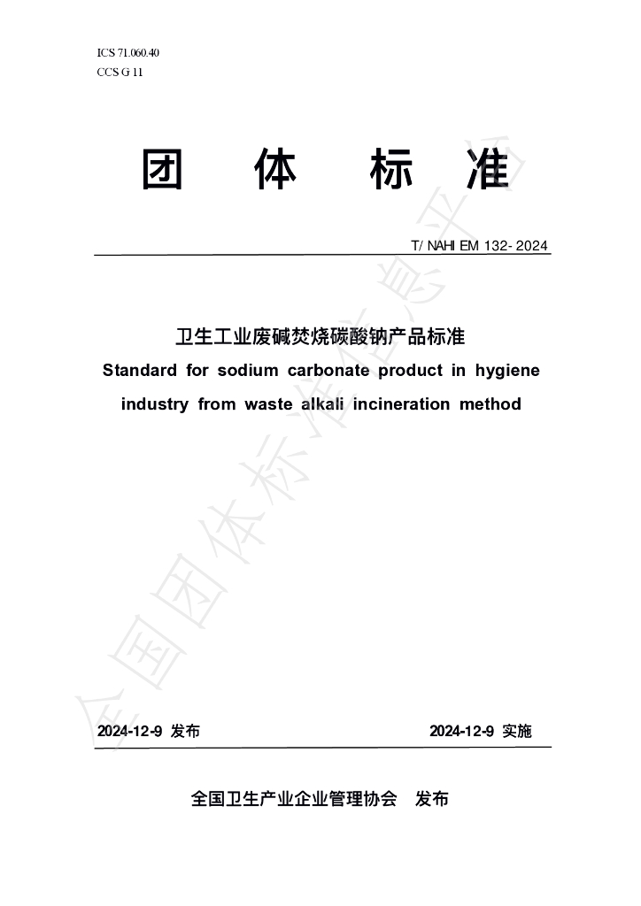 T/NAHIEM 132-2024 标准预览
