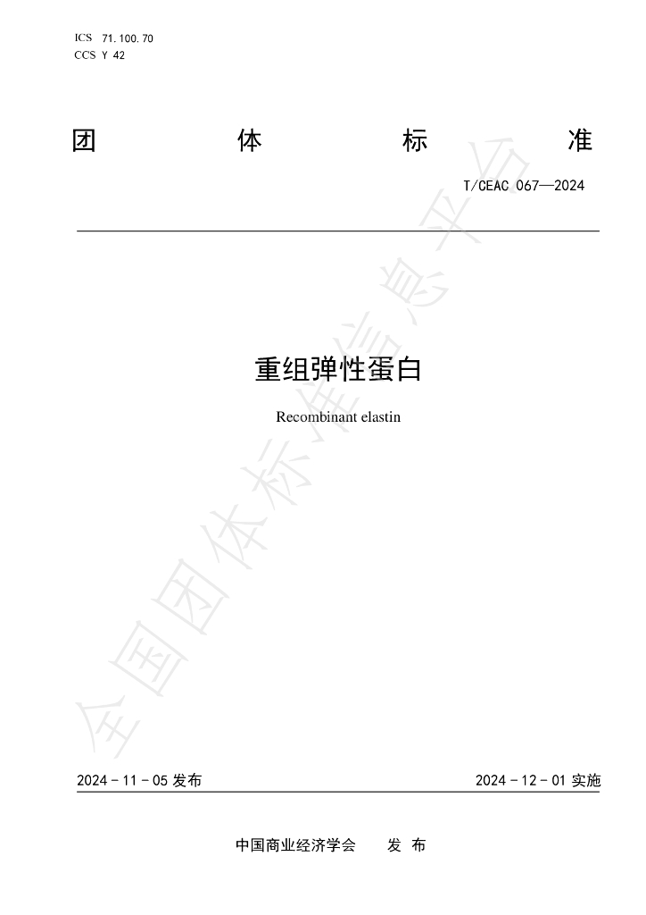 T/CEAC 067-2024 标准预览