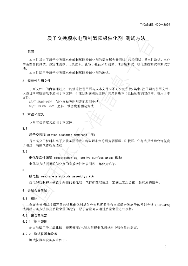 T/CASMES 400-2024 标准预览