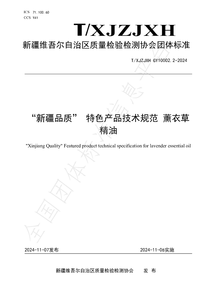 T/XJZJXH GY10002.2-2024 标准预览