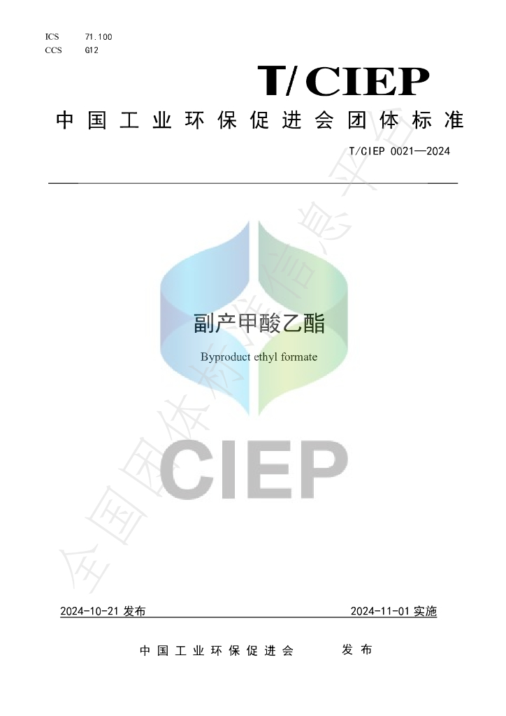T/CIEP 0021-2024 标准预览
