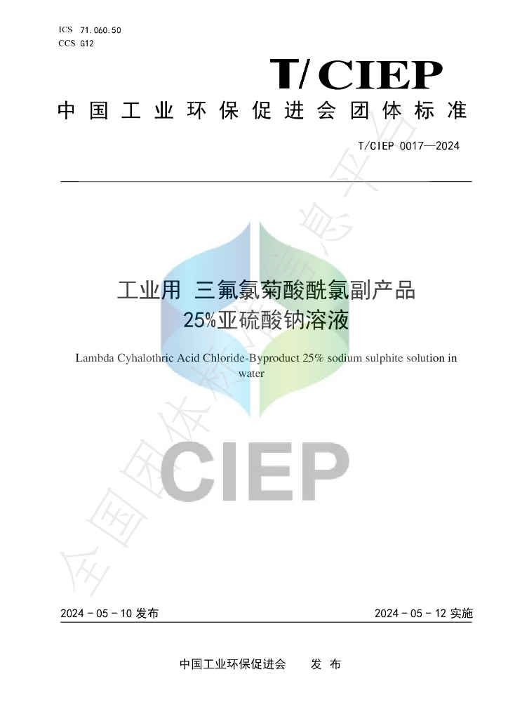 T/CIEP 0017-2024 标准预览