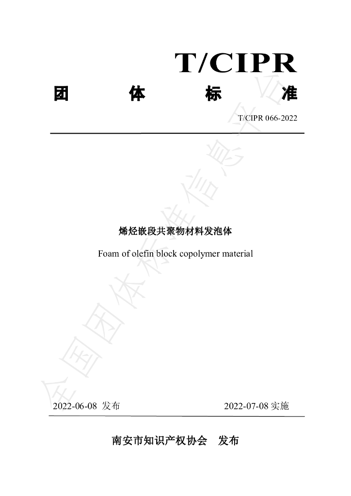 T/CIPR 066-2022 标准预览