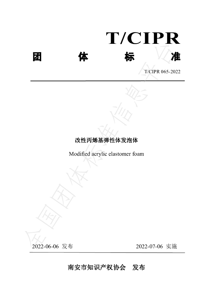 T/CIPR 065-2022 标准预览