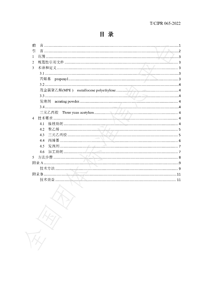T/CIPR 065-2022 标准预览