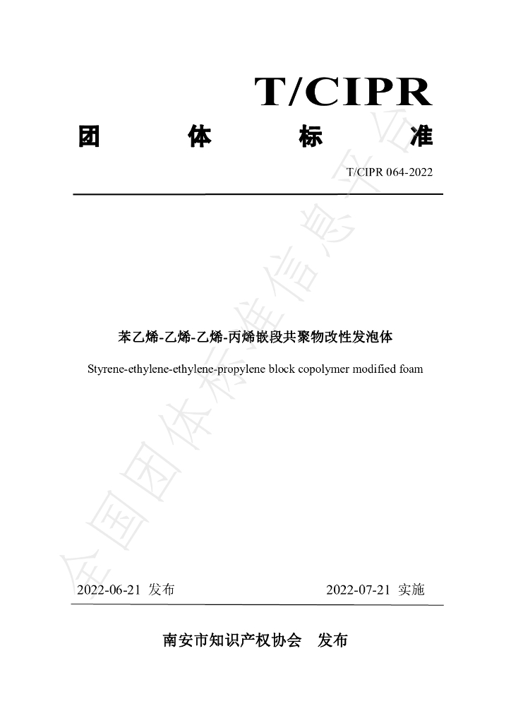 T/CIPR 064-2022 标准预览