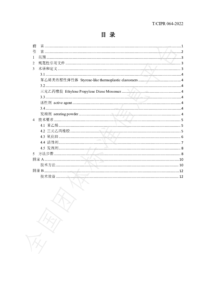T/CIPR 064-2022 标准预览