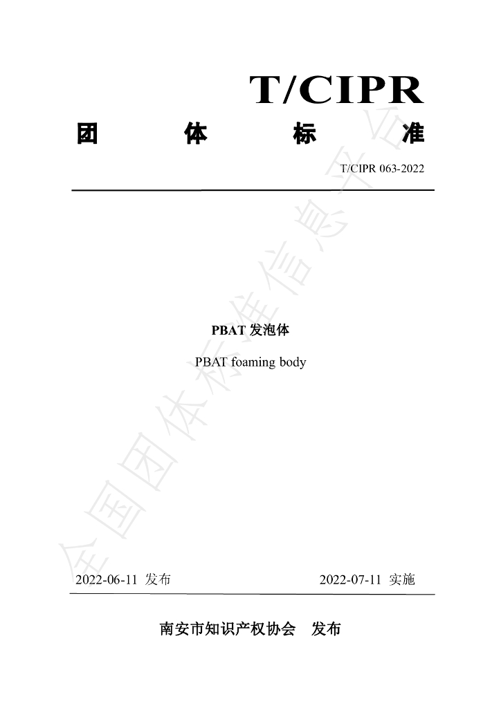 T/CIPR 063-2022 标准预览