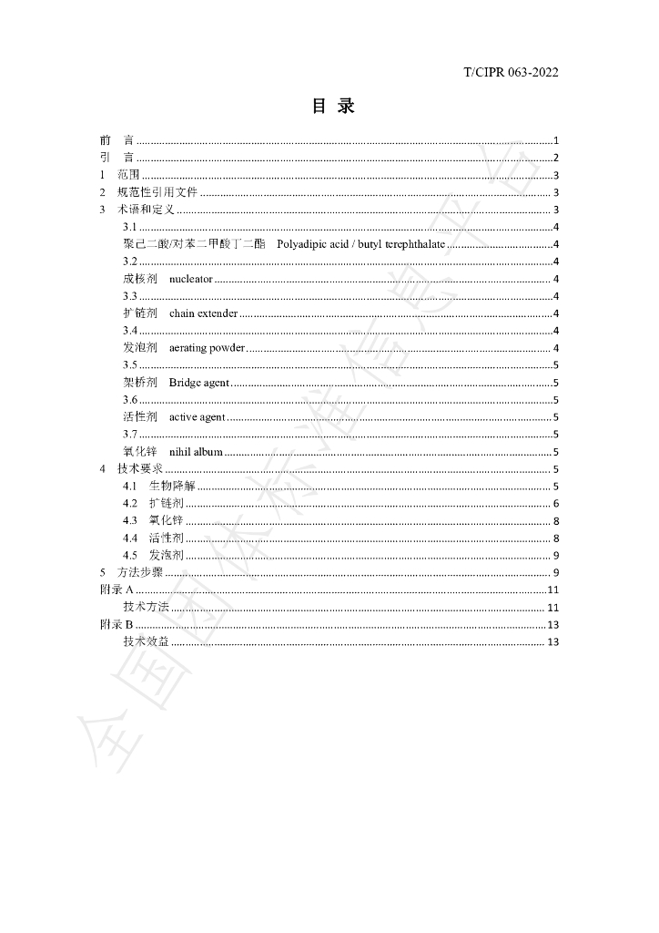 T/CIPR 063-2022 标准预览