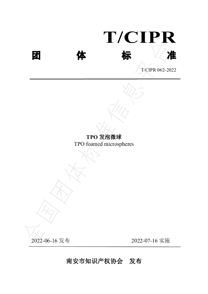 T/CIPR 062-2022 标准预览