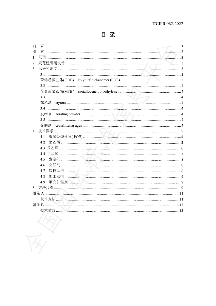 T/CIPR 062-2022 标准预览