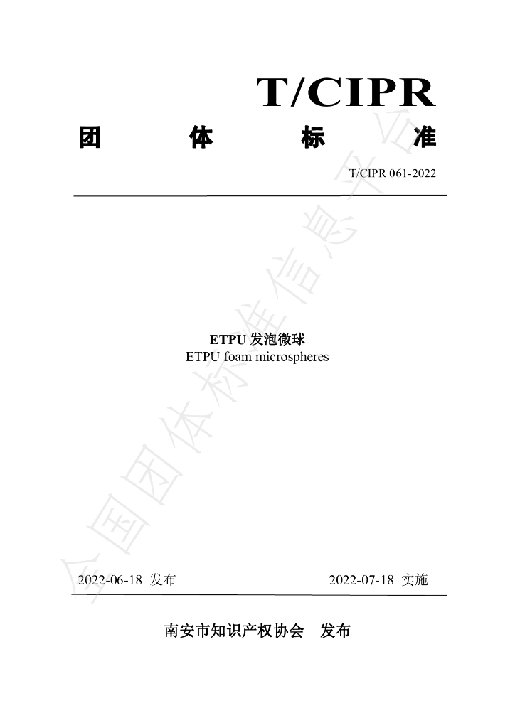 T/CIPR 061-2022 标准预览