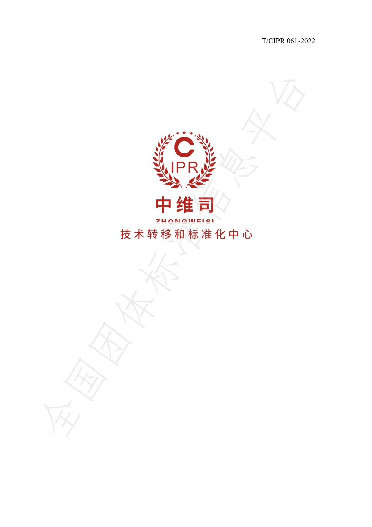 T/CIPR 061-2022 标准预览