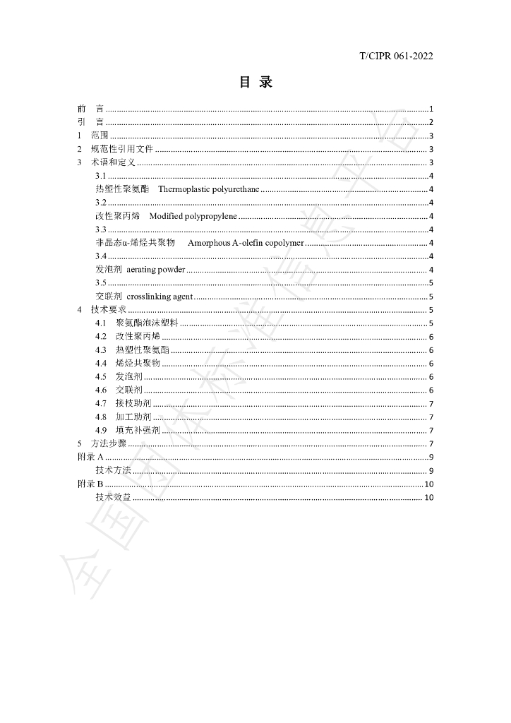 T/CIPR 061-2022 标准预览