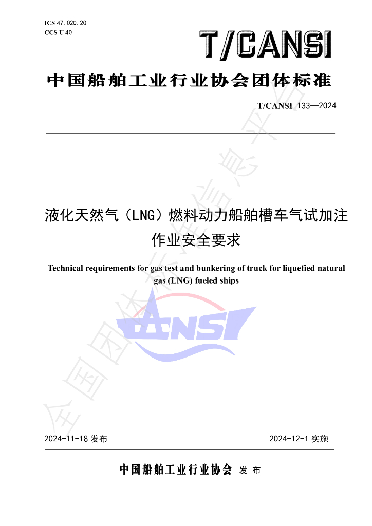 T/CANSI 133-2024 标准预览