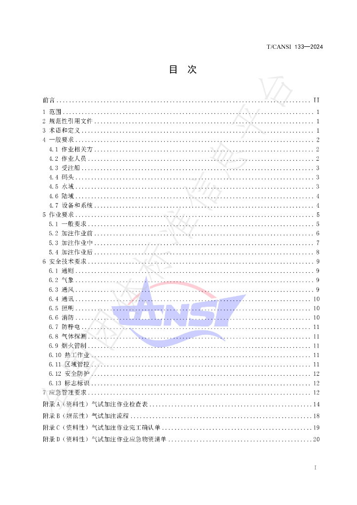 T/CANSI 133-2024 标准预览