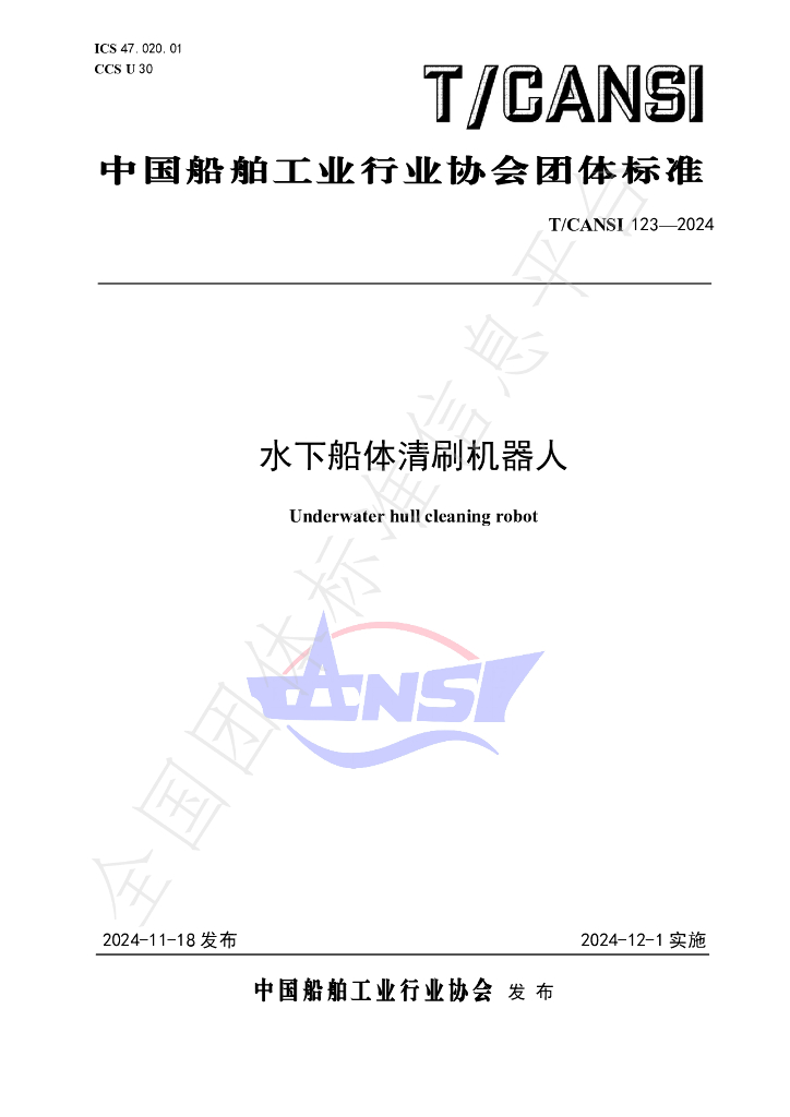 T/CANSI 123-2024 标准预览