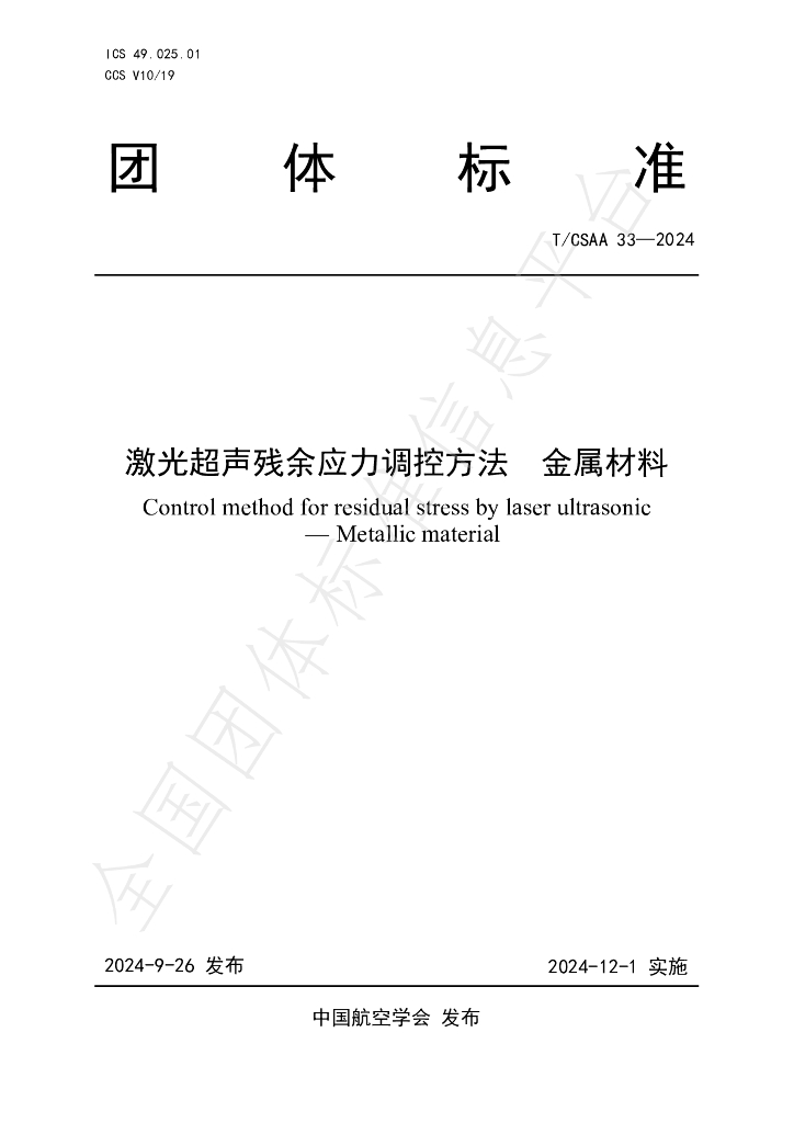 T/CSAA 33-2024 标准预览