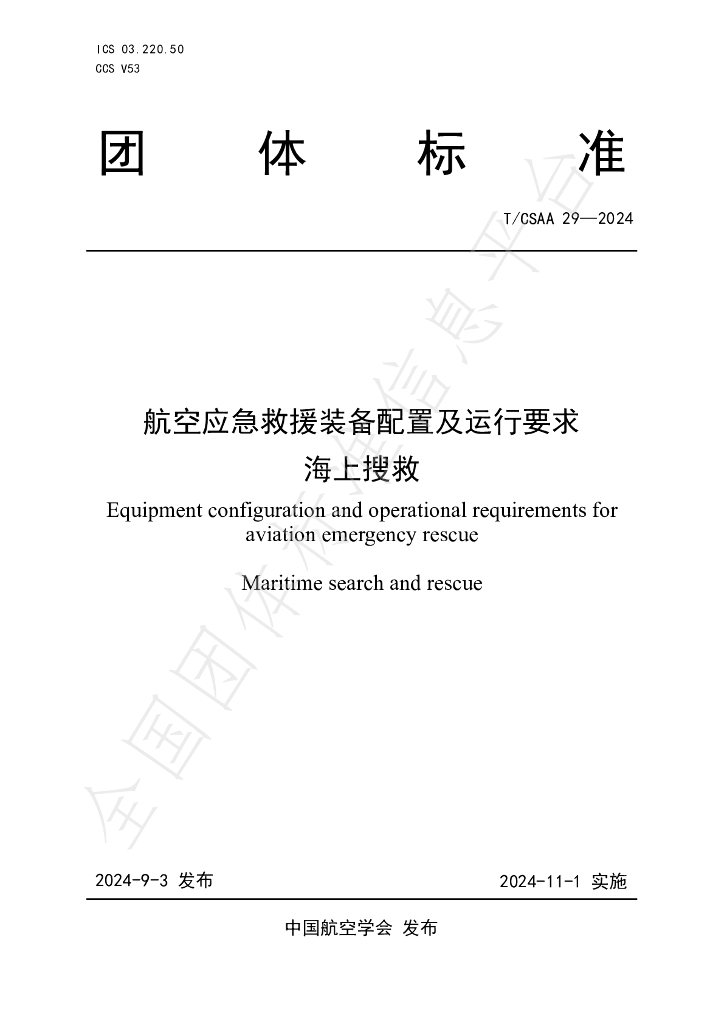 T/CSAA 29-2024 标准预览