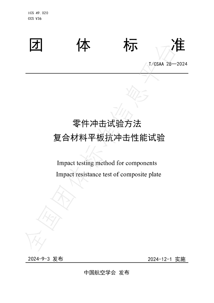 T/CSAA 28-2024 标准预览