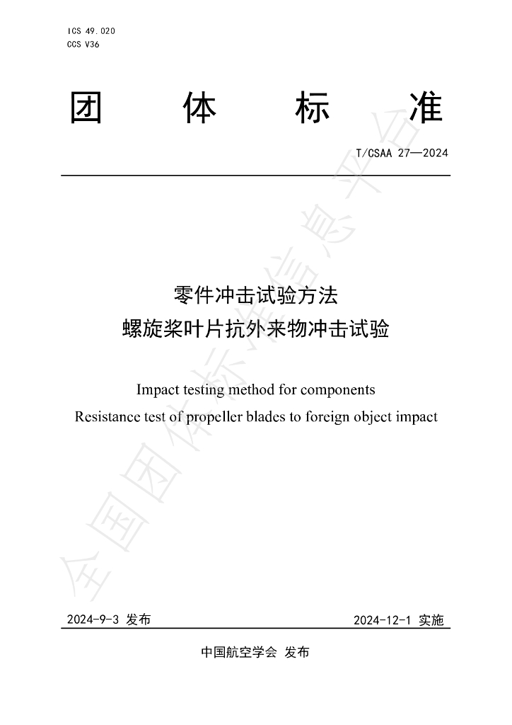 T/CSAA 27-2024 标准预览