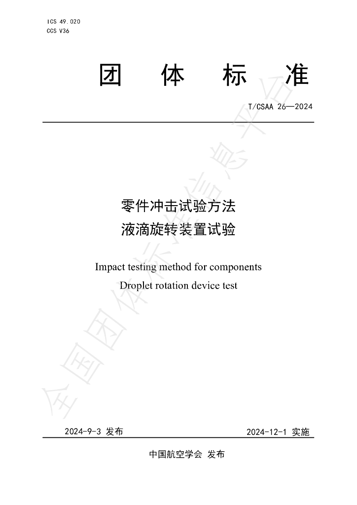 T/CSAA 26-2024 标准预览