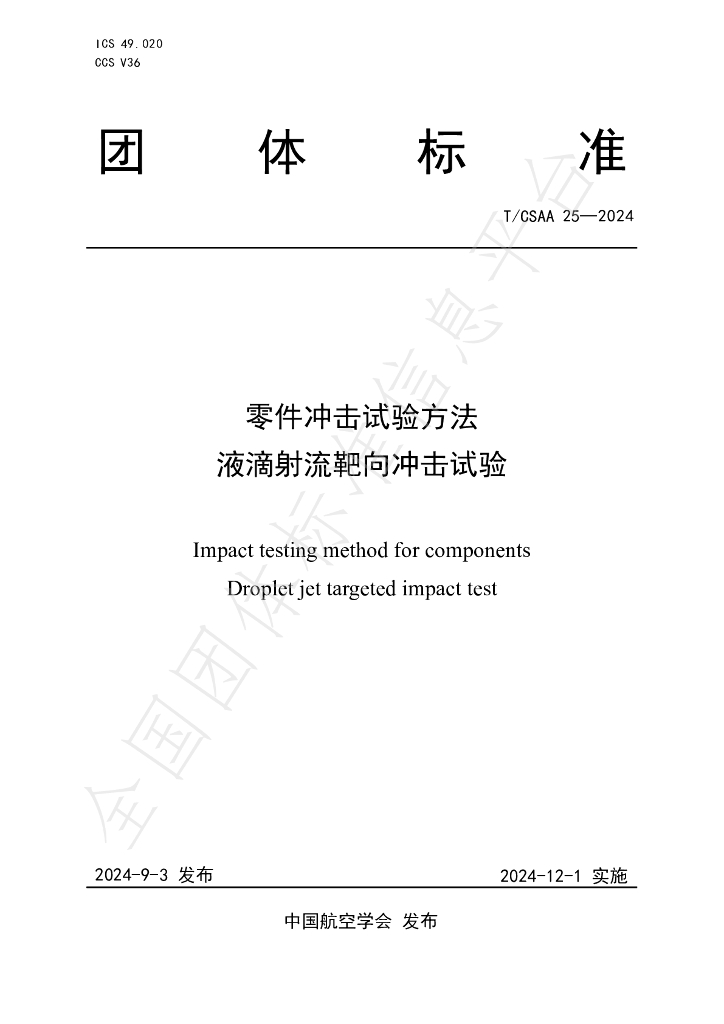 T/CSAA 25-2024 标准预览