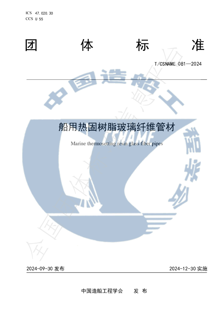 T/CSNAME 081-2024 标准预览