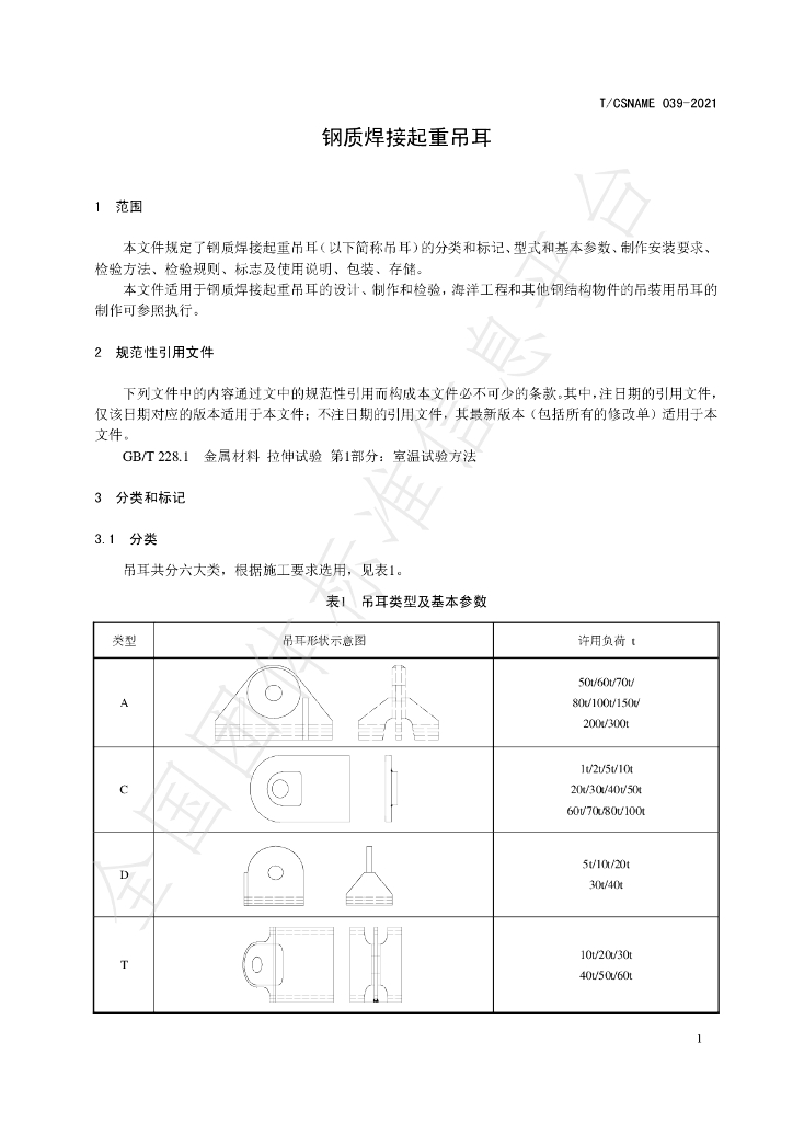 T/CSNAME 039-2021 标准预览