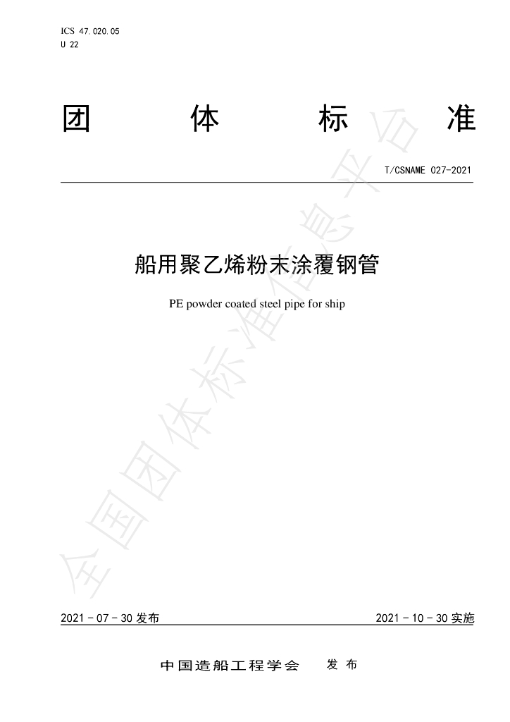 T/CSNAME 027-2021 标准预览