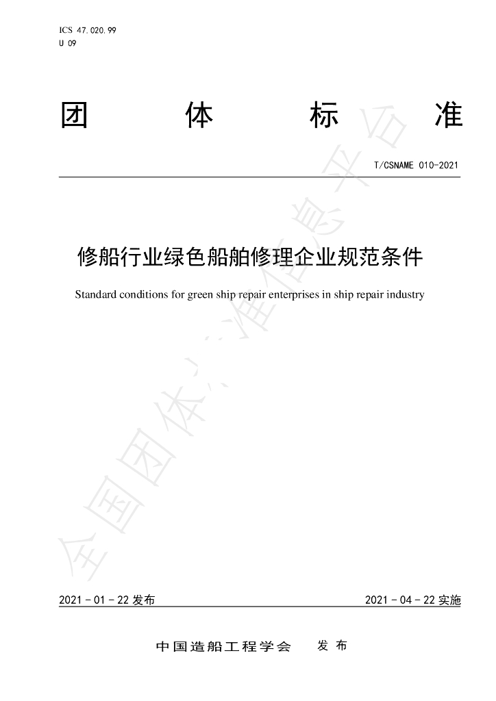 T/CSNAME 010-2021 标准预览