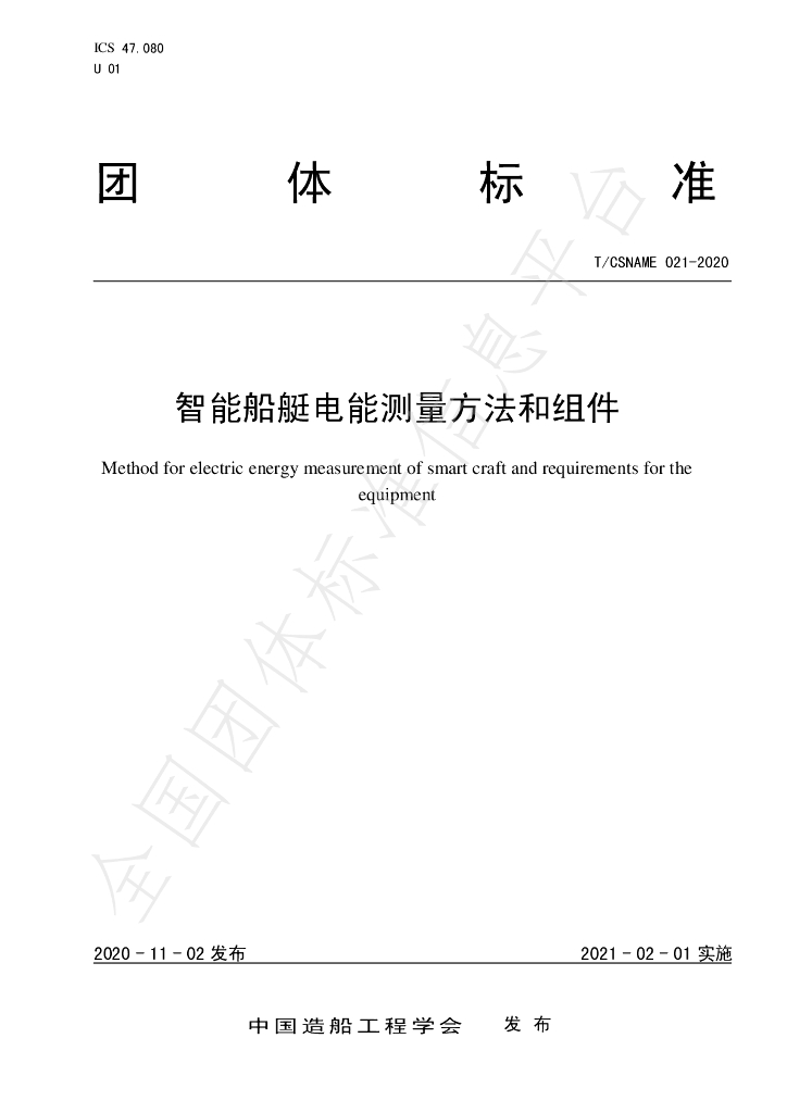 T/CSNAME 021-2020 标准预览