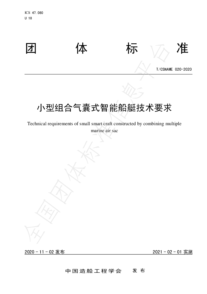 T/CSNAME 020-2020 标准预览