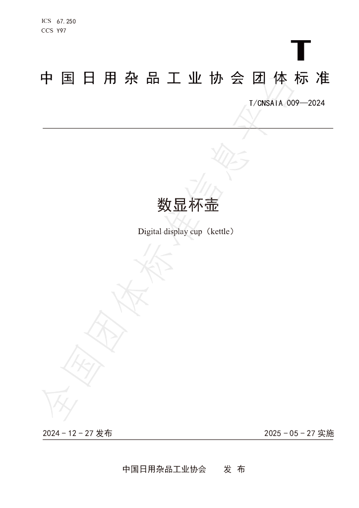 T/CNSAIA 009-2024 标准预览