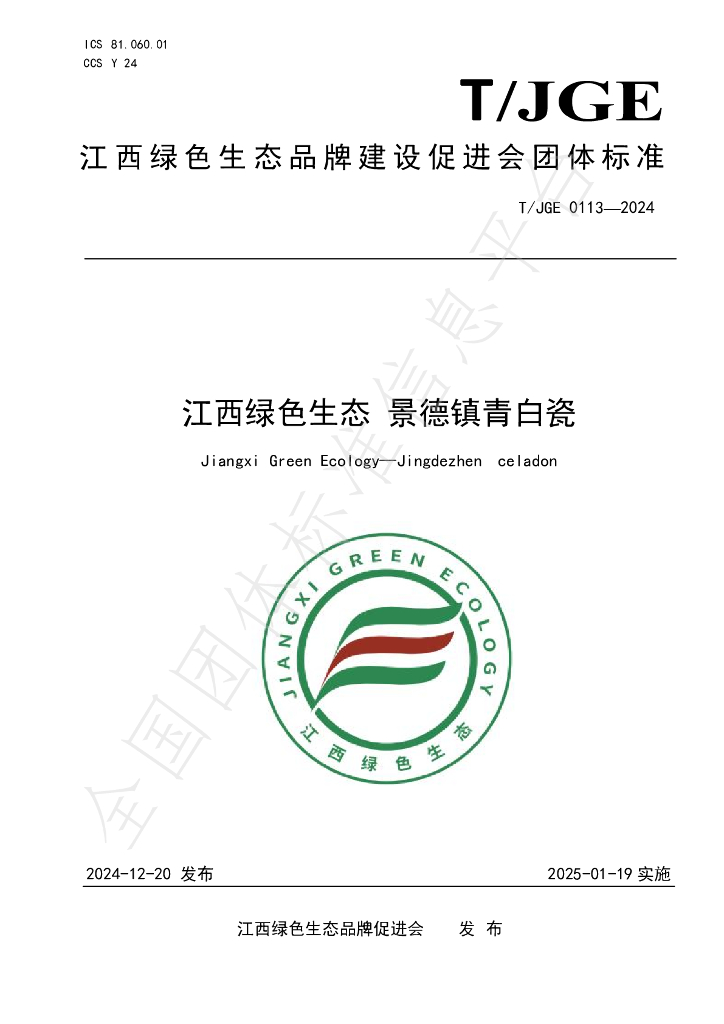 T/JGE 0113-2024 标准预览