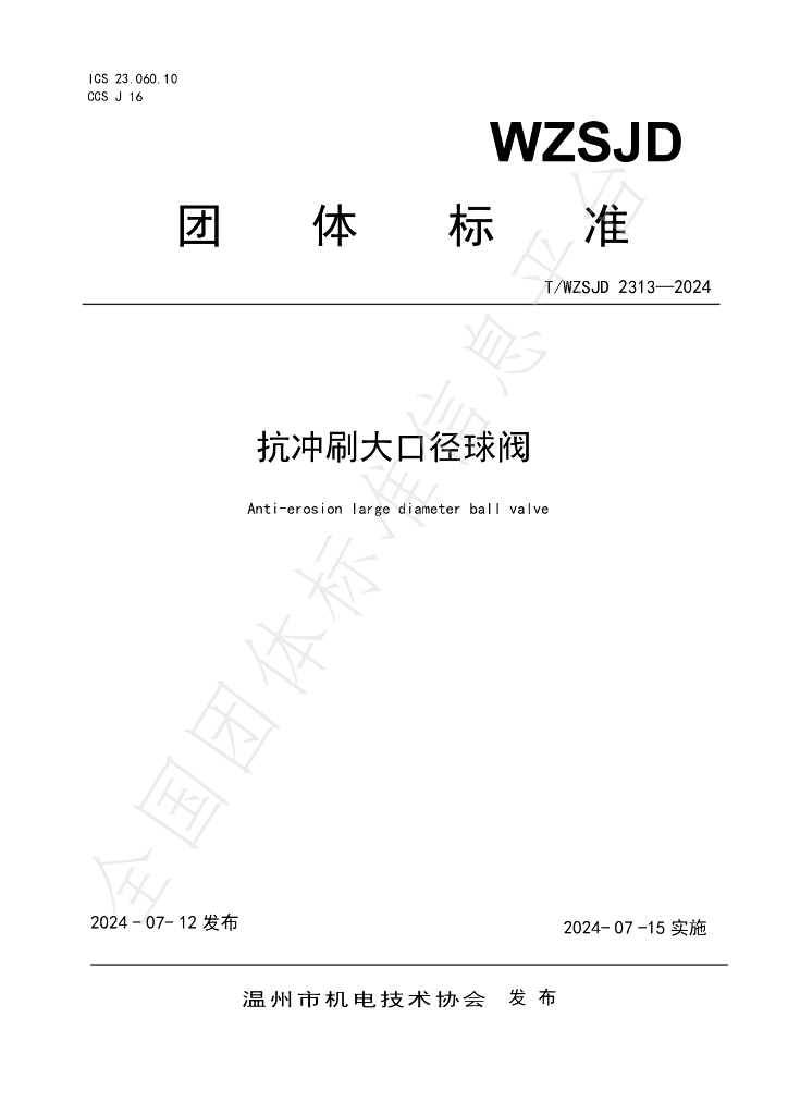 T/WZSJD 2313-2024 标准预览