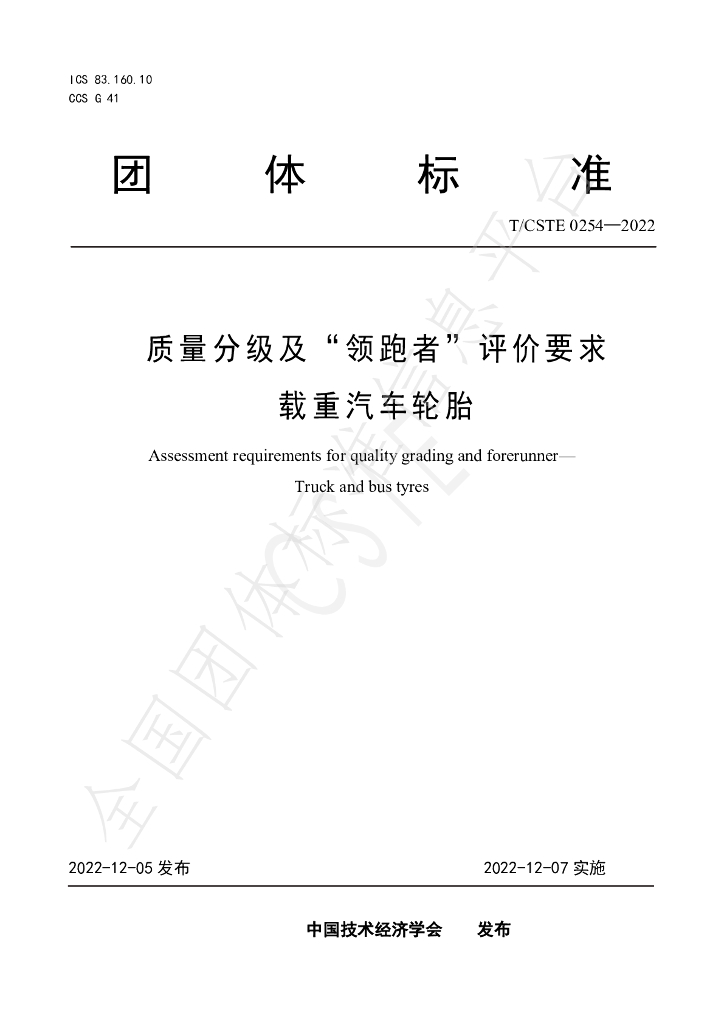 T/CSTE 0254-2022 标准预览