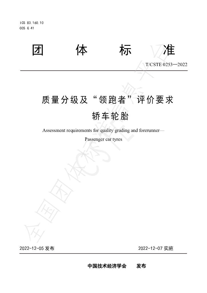 T/CSTE 0253-2022 标准预览