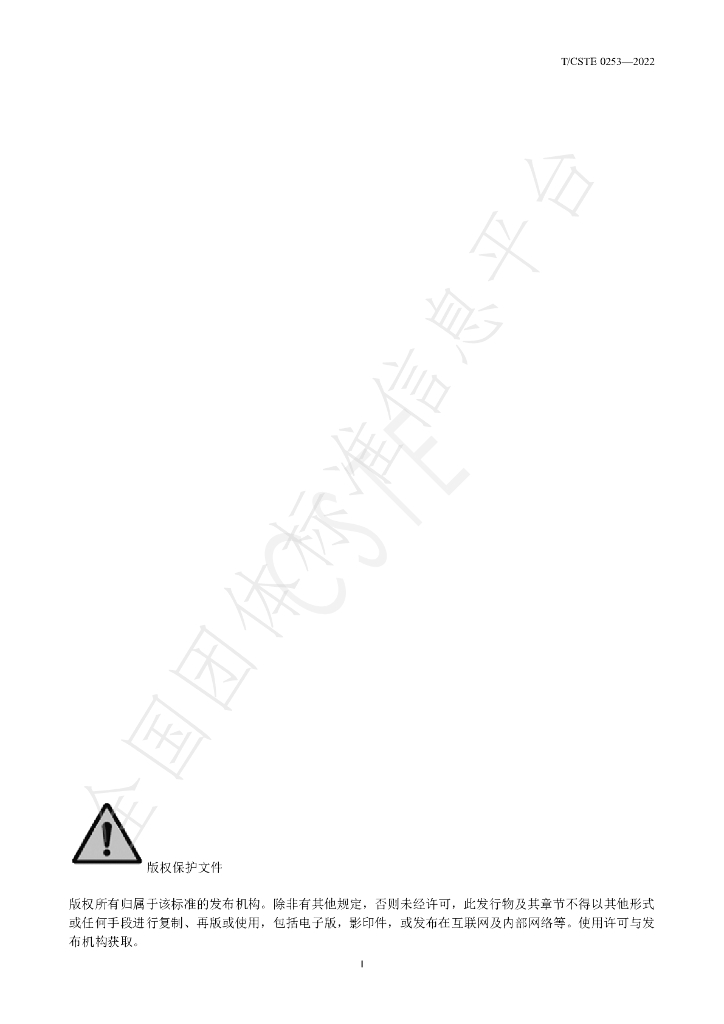 T/CSTE 0253-2022 标准预览