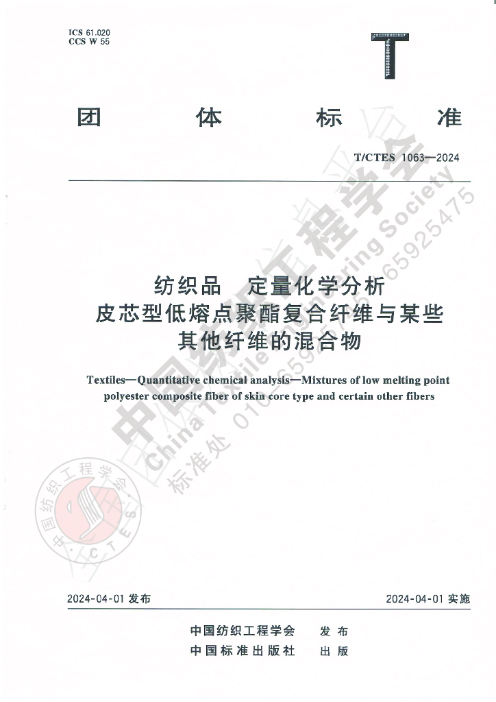 T/CTES 1063-2024 标准预览
