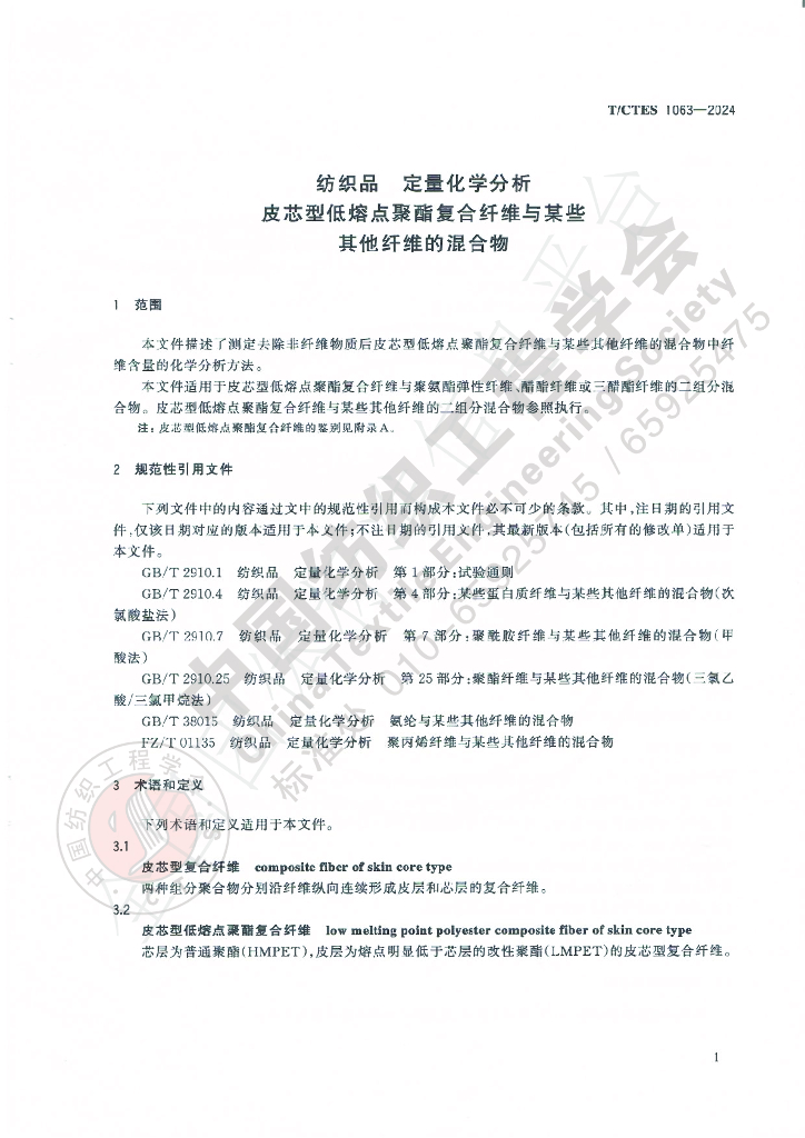 T/CTES 1063-2024 标准预览