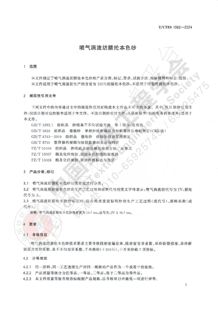 T/CTES 1062-2024 标准预览