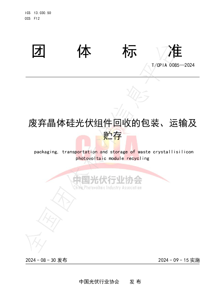 T/CPIA 0085-2024 标准预览